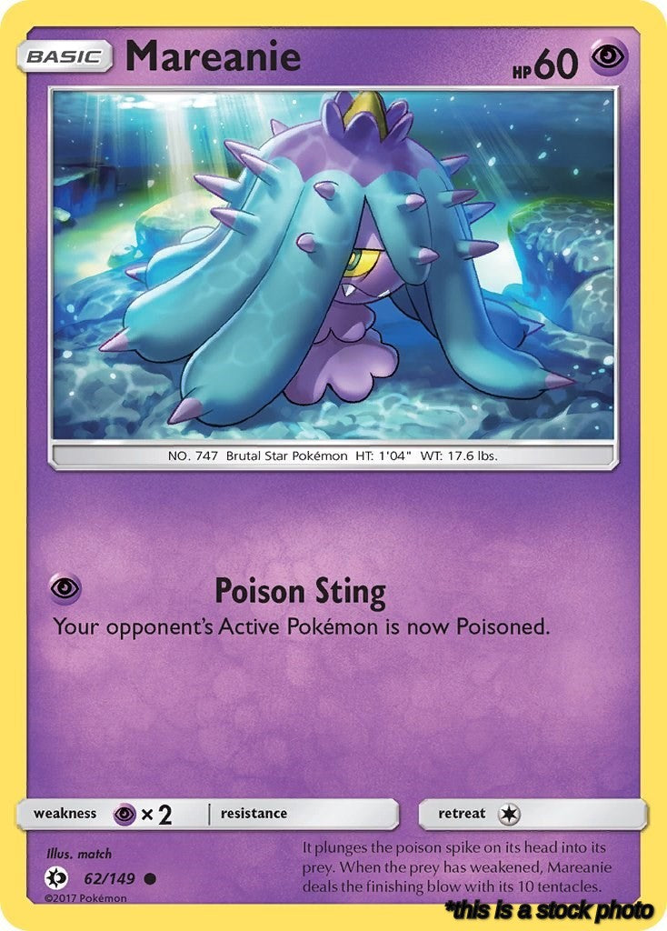 62/149 Mareanie Common Normal