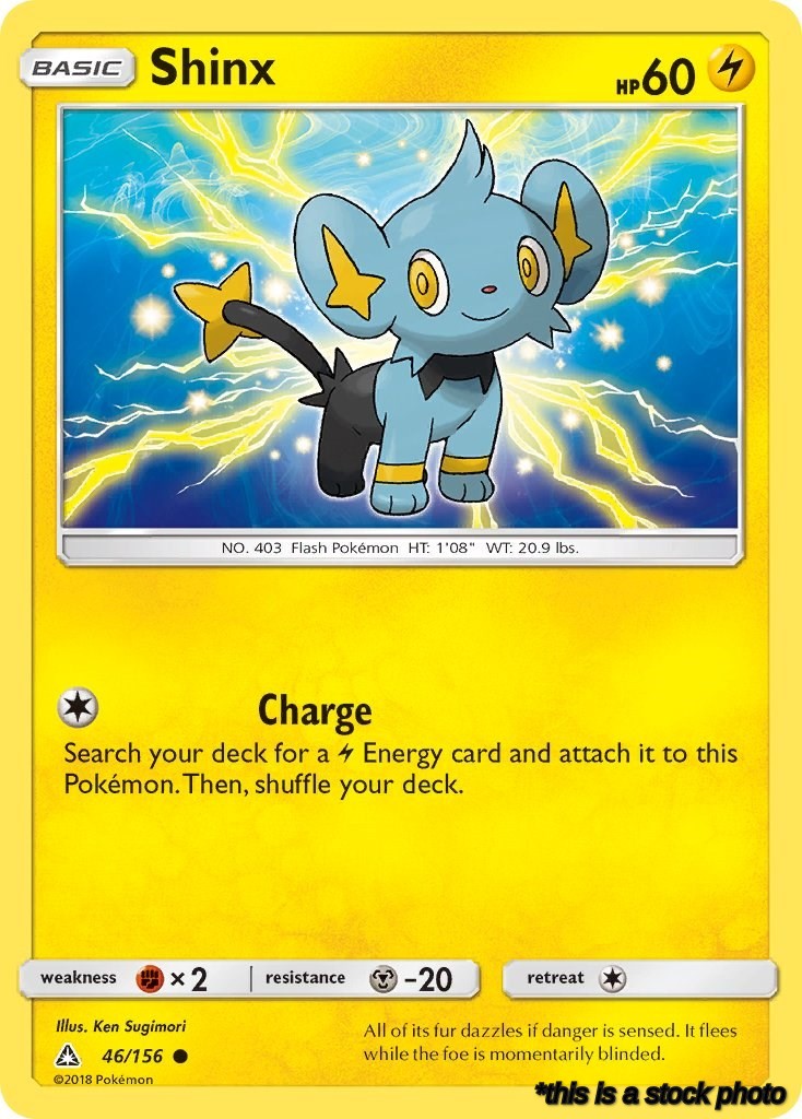 Shinx (46)