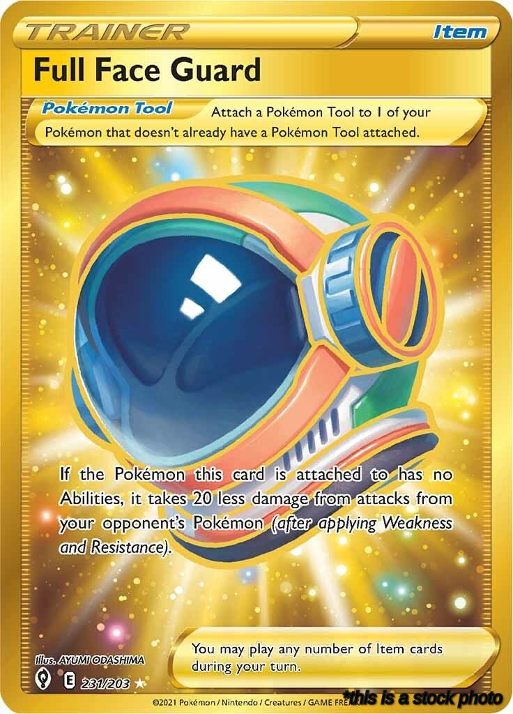 Full Face Guard (Secret)