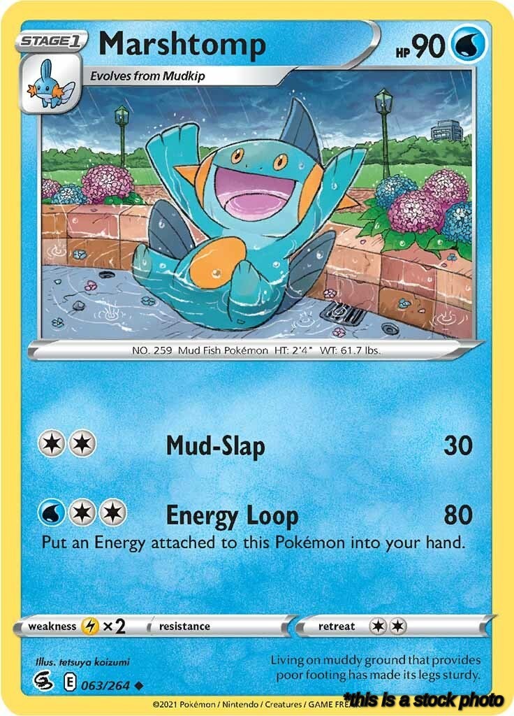 Marshtomp