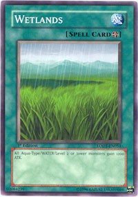 Wetlands