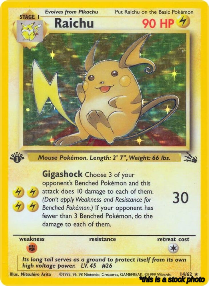 Raichu (14)