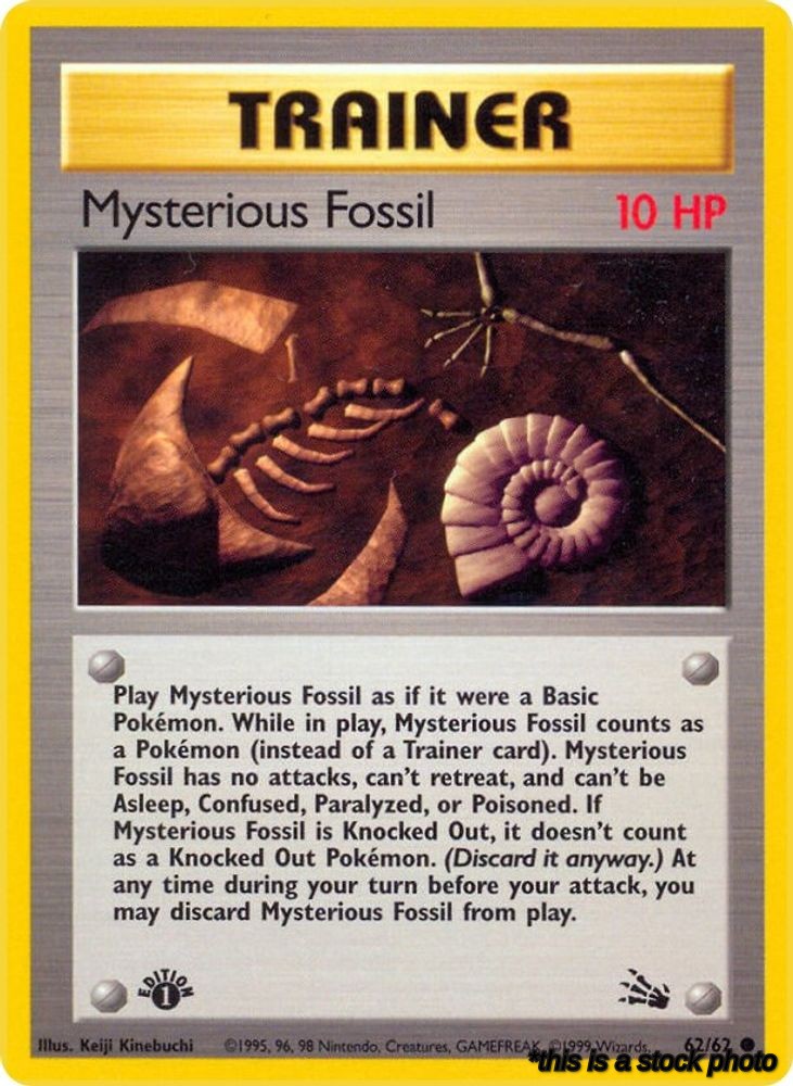 Mysterious Fossil