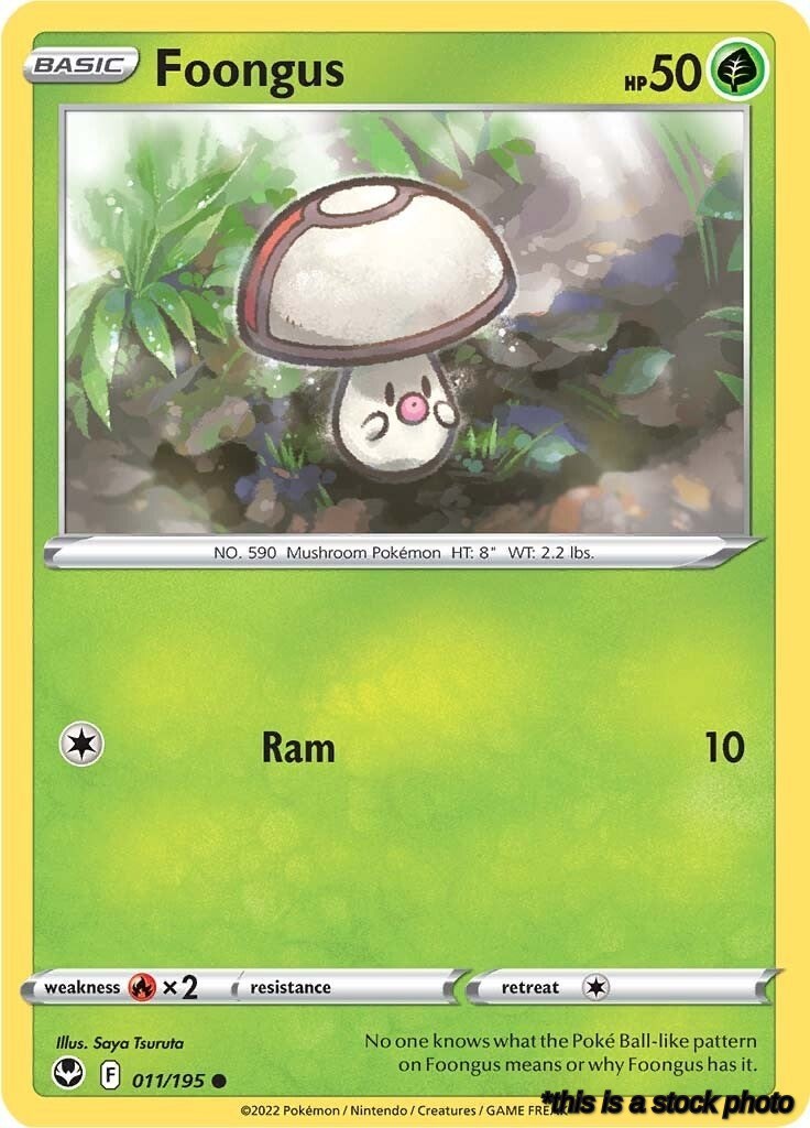 011/195 Foongus Common Normal