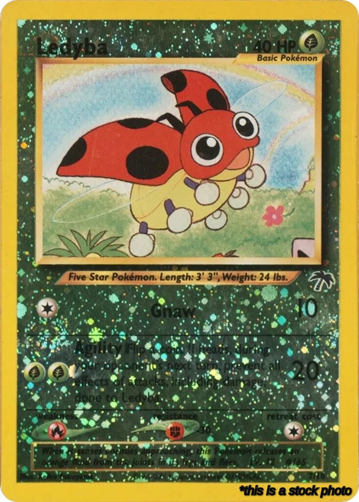 Ledyba