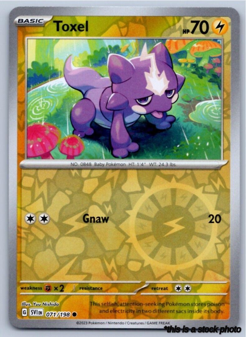 071/198 Toxel Common Reverse Holofoil