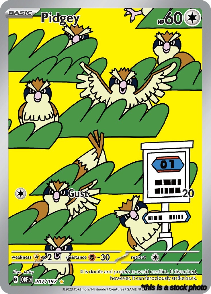 Pidgey - 207/197