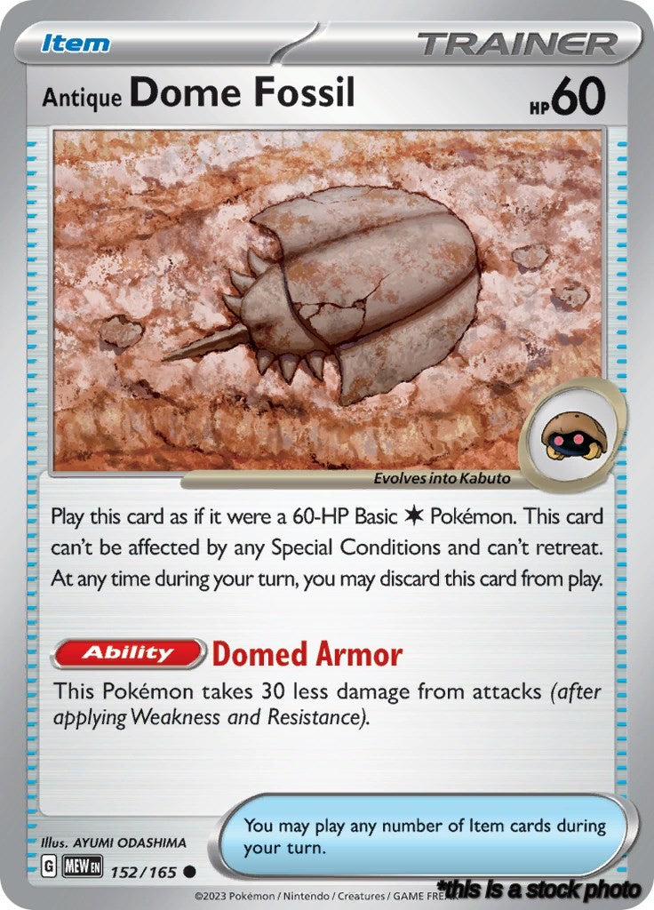 Antique Dome Fossil