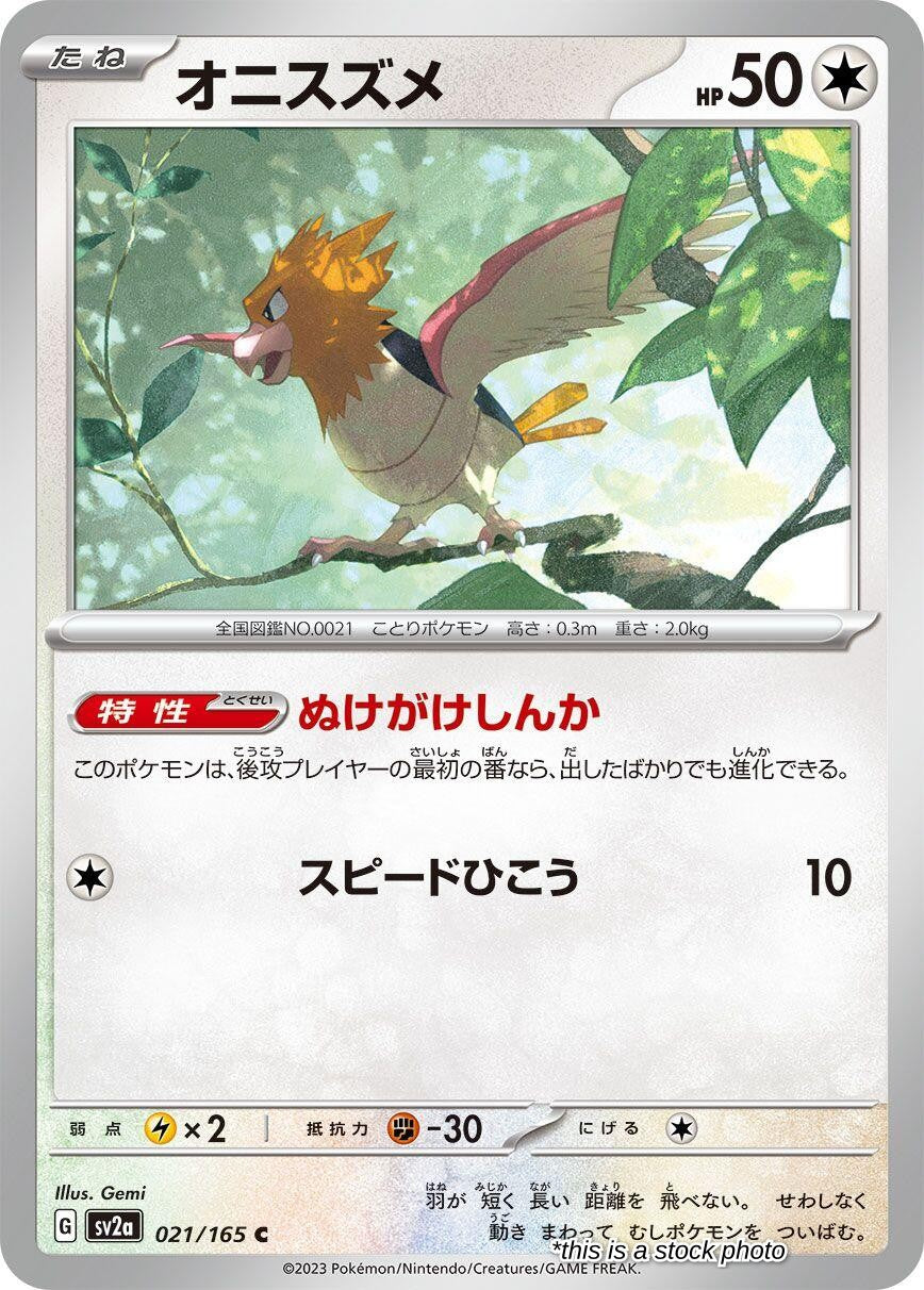 Spearow