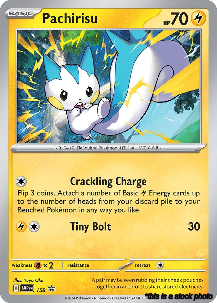Pachirisu - 158