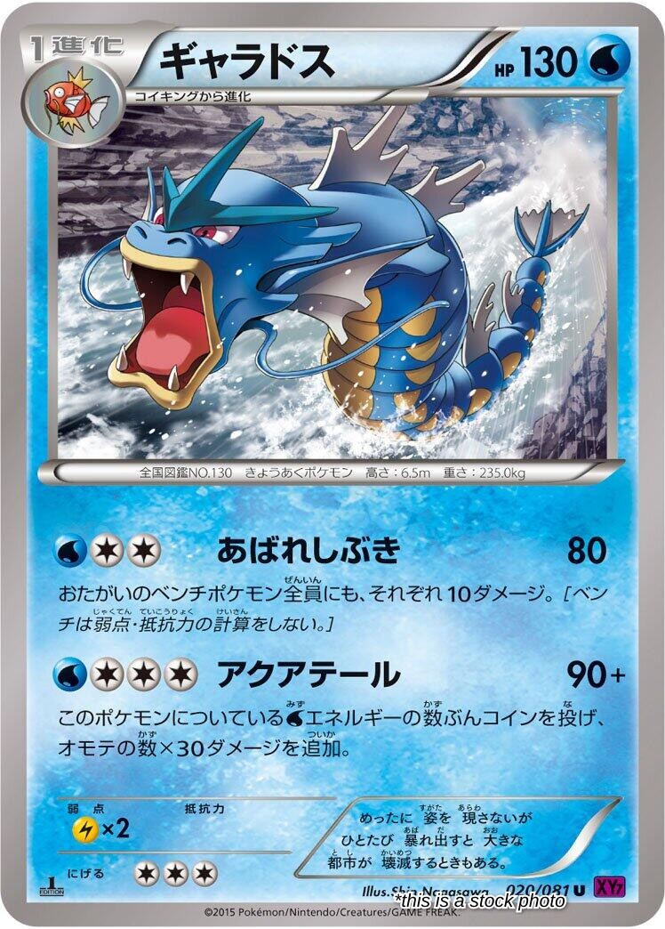 Gyarados - 020/081