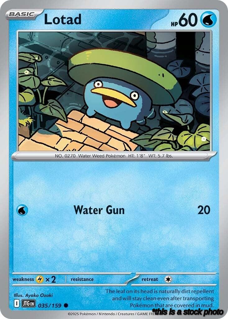 Lotad