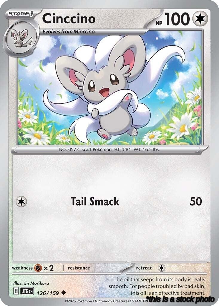 Cinccino