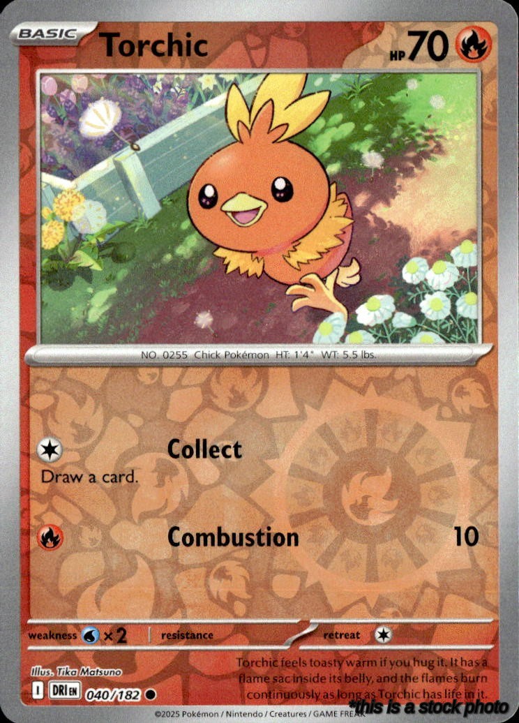 Torchic