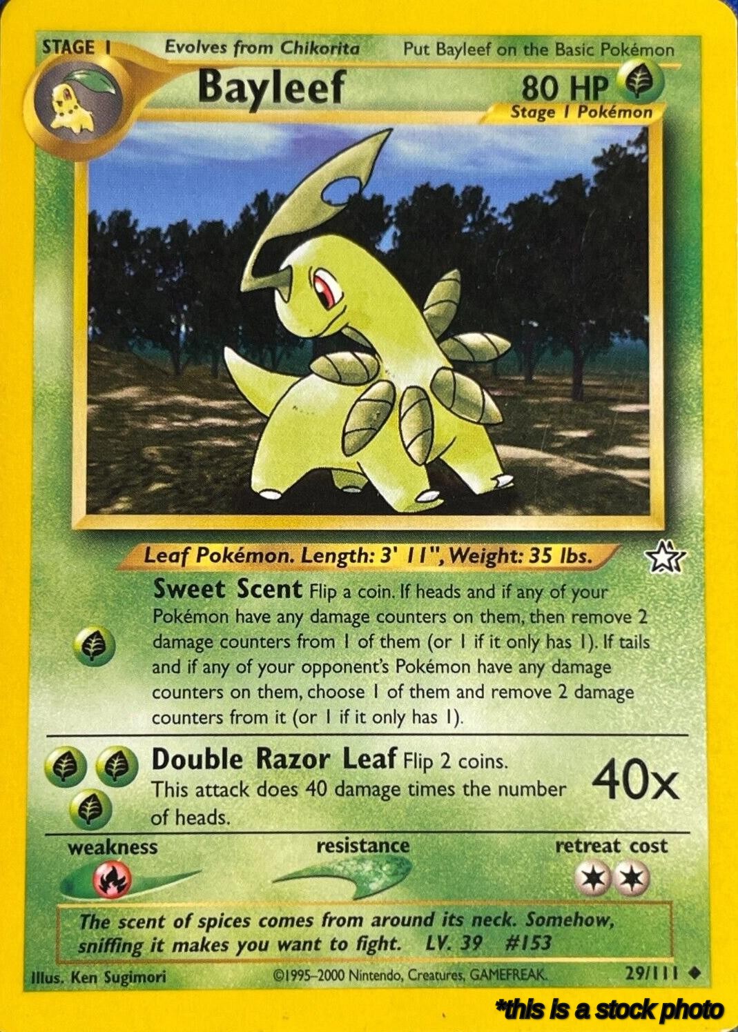 Bayleef (29)