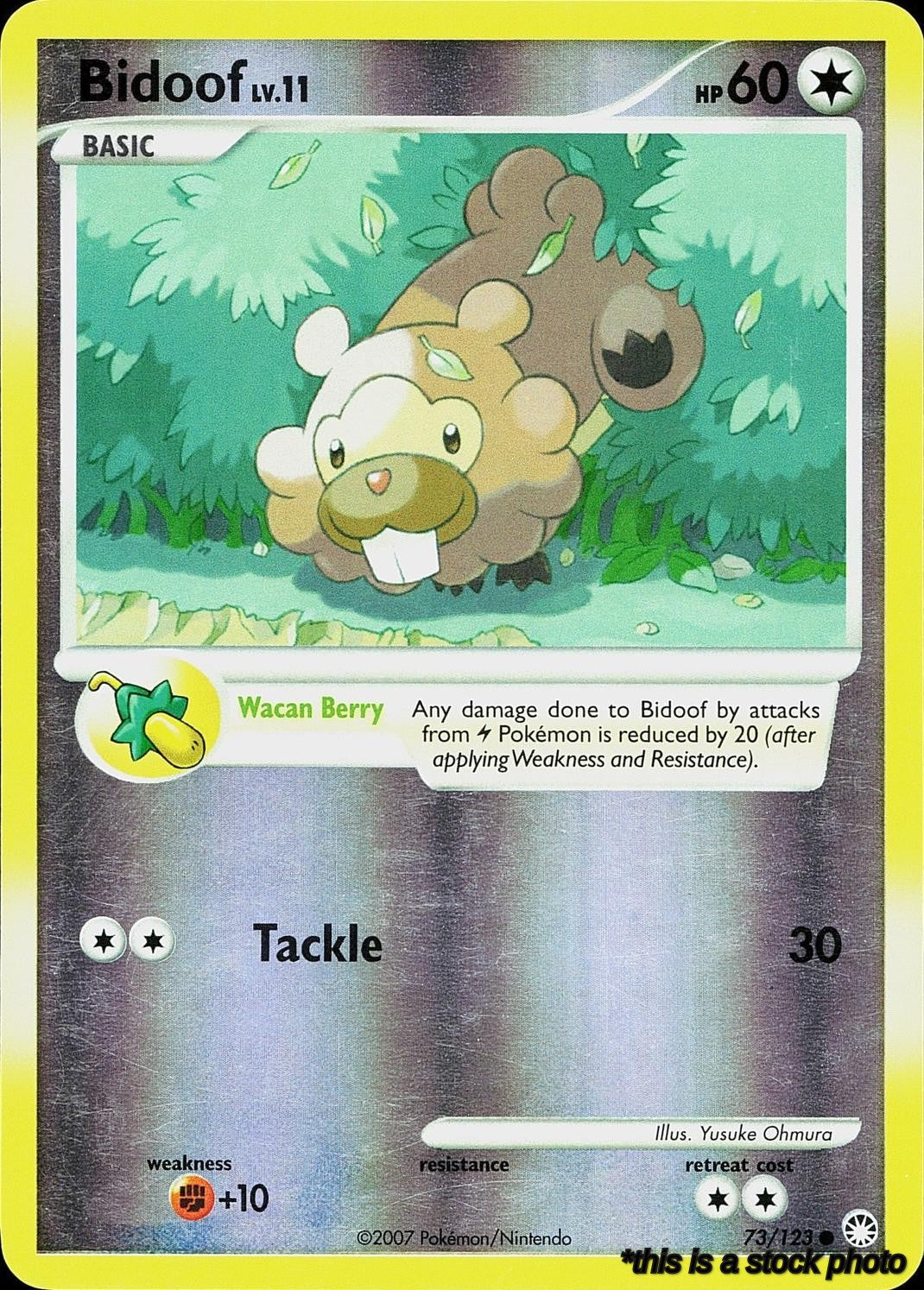 Bidoof