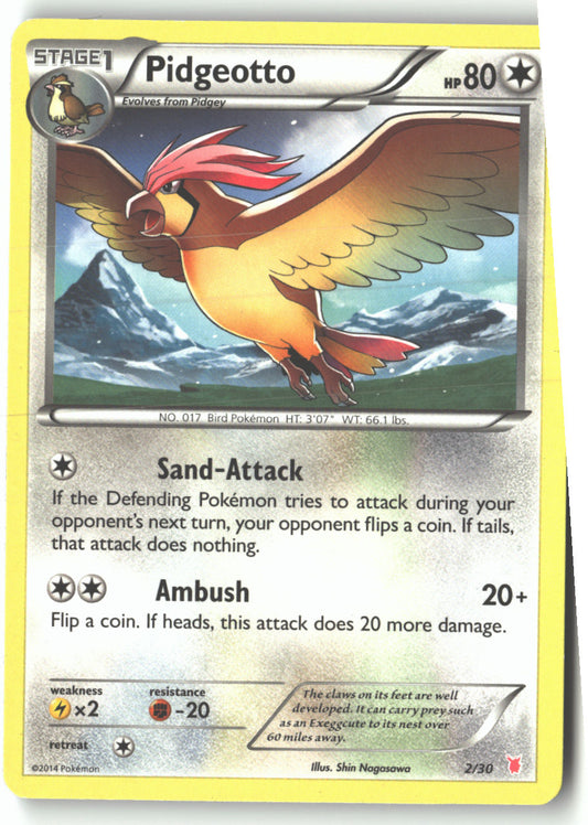 Pidgeotto (#2)