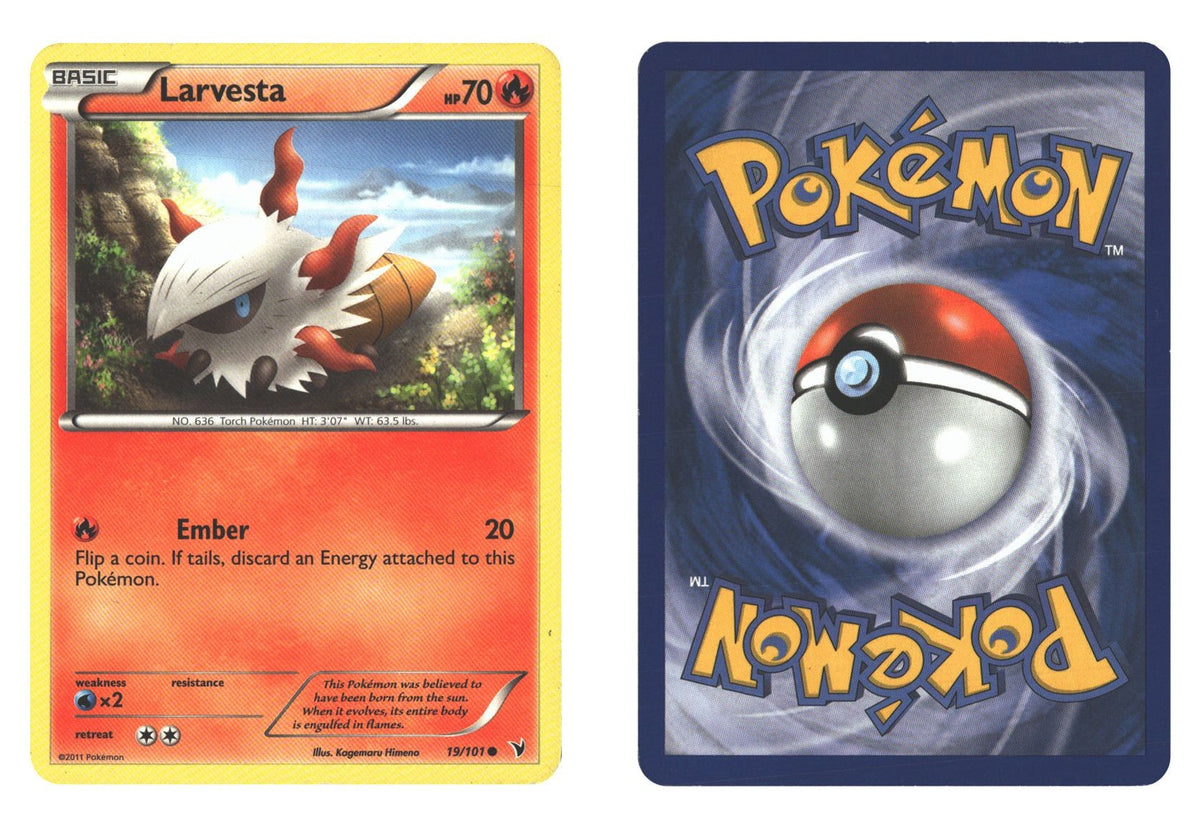 Front + Back scan