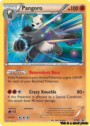 XY50/PR Pangoro Promo Holofoil