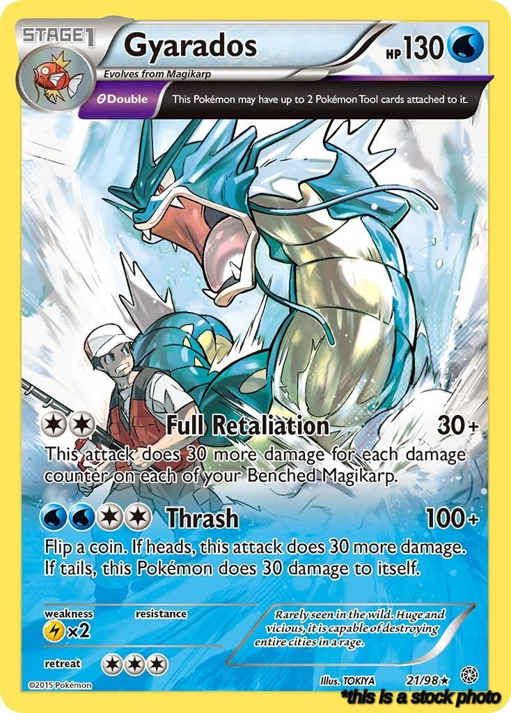 Gyarados (21)