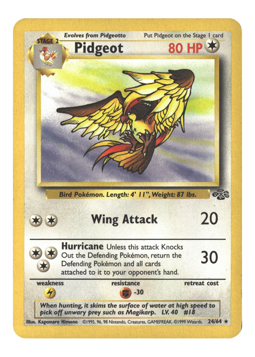 Pidgeot (24)
