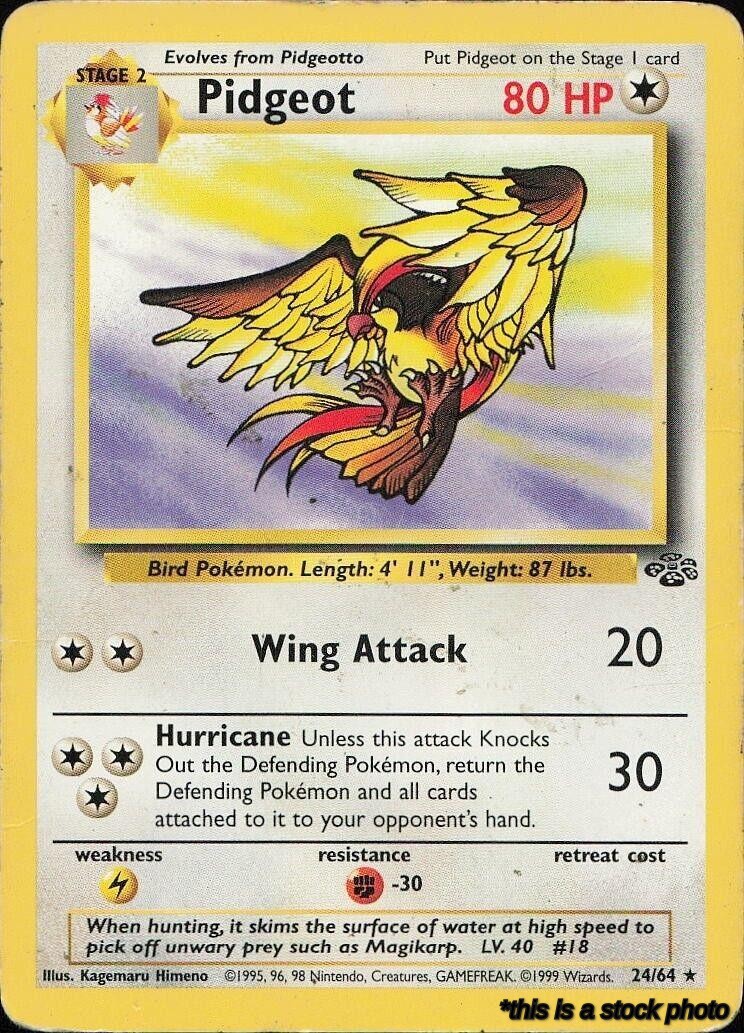 Pidgeot (24)