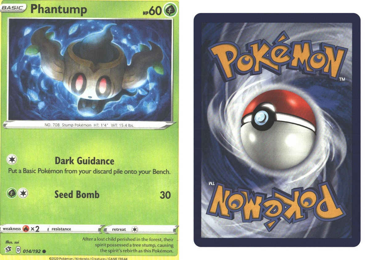 Front + Back scan