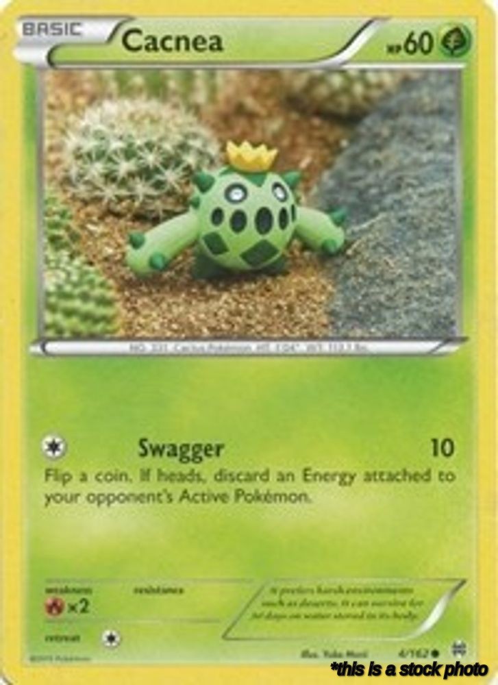 Cacnea