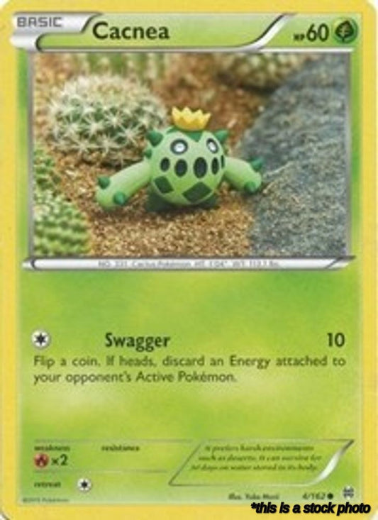 Cacnea