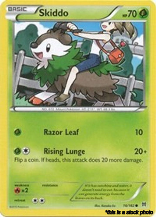 Skiddo