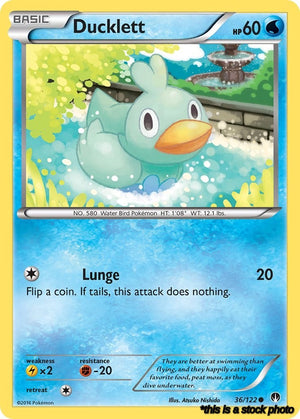 Common Ducklett [36/122 Lightly Played ]