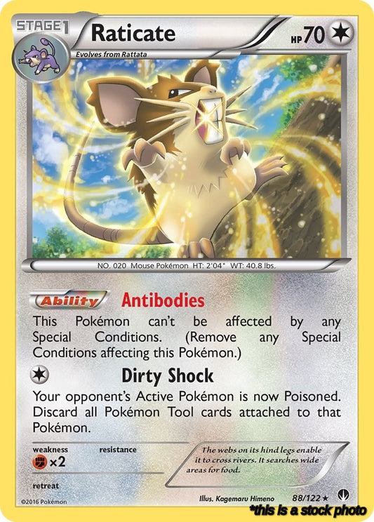 Normal Raticate [88/122 Lightly Played ]