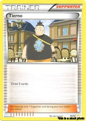 Normal Tierno (20 - Pikachu Libre Deck) [20/30 Lightly Played ]