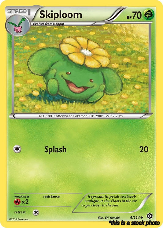 Skiploom