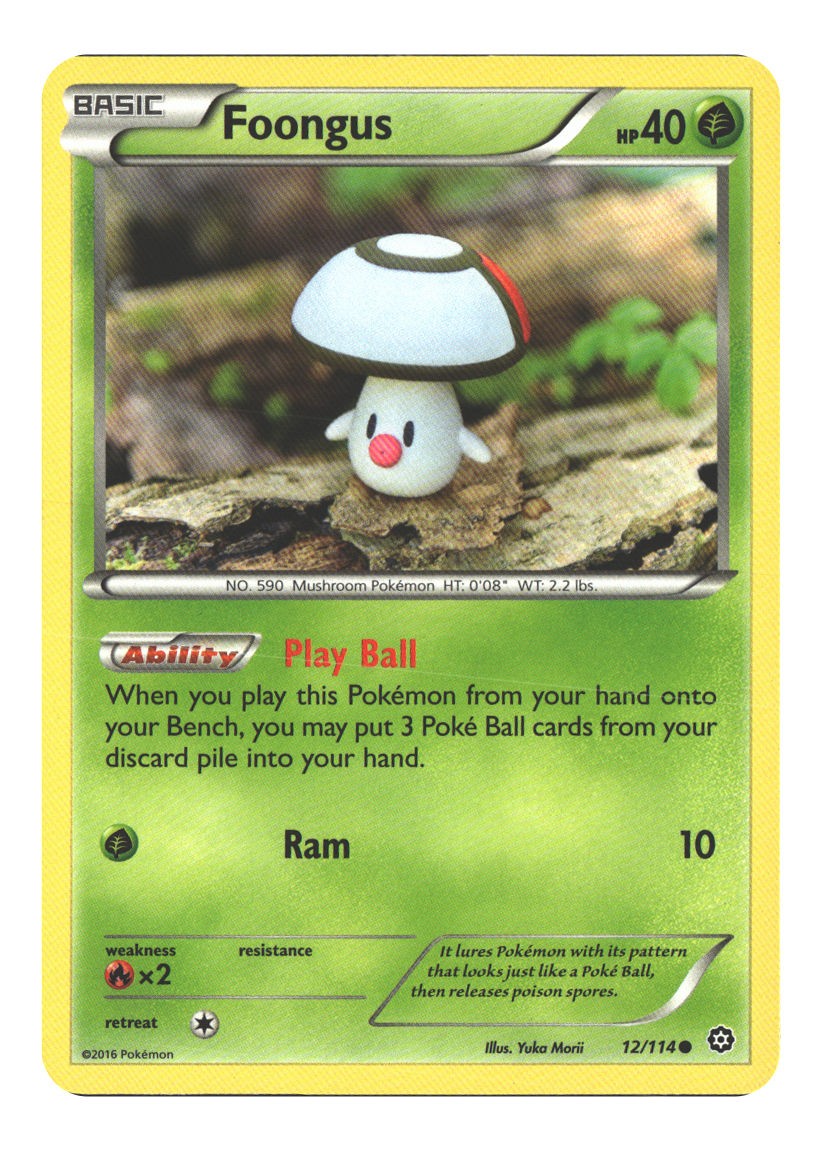 12/114 Foongus Common Normal