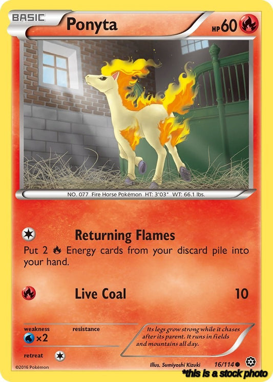 Ponyta