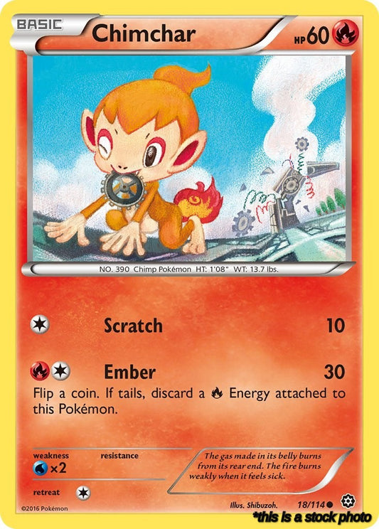 Chimchar