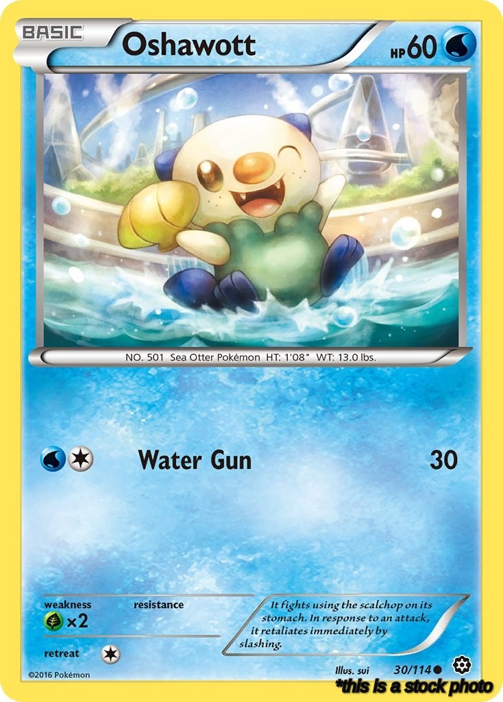 30/114 Oshawott Common Normal