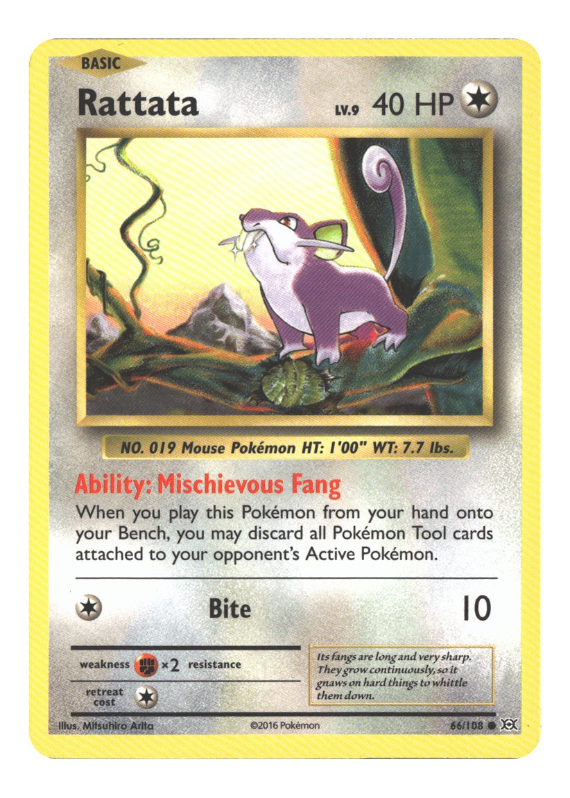 66/108 Rattata Common Normal