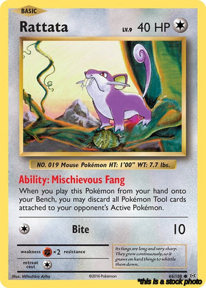 66/108 Rattata Common Reverse Holofoil