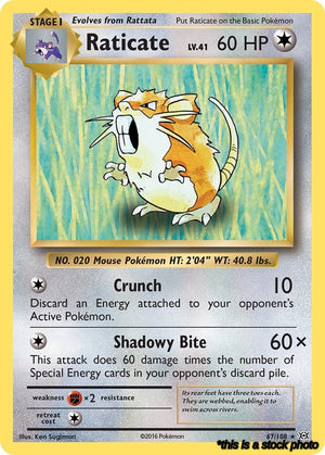 67/108 Raticate Rare Normal