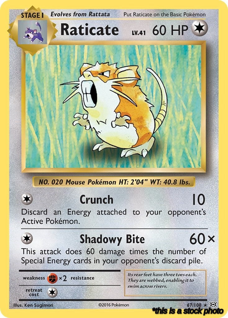 Reverse Holofoil Raticate [67/108 Near Mint ]