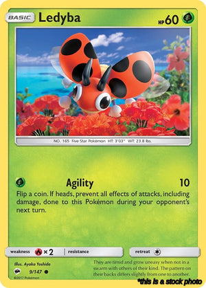 9/147 Ledyba Common Normal