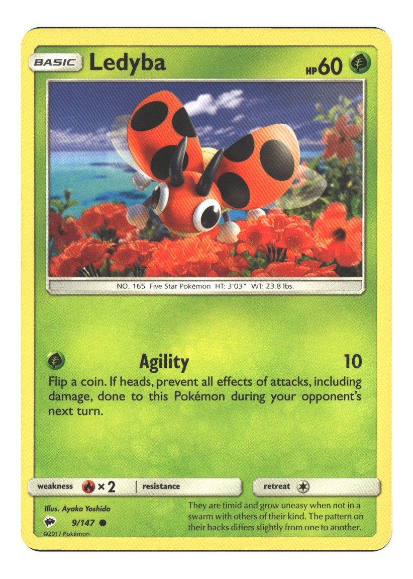 Ledyba