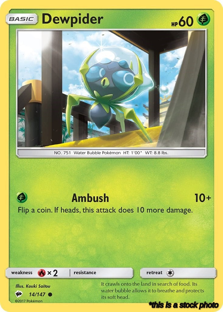 14/147 Dewpider Common Normal