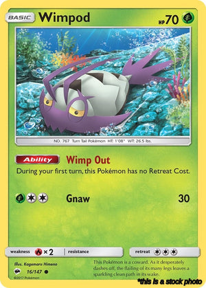 16/147 Wimpod Common Normal