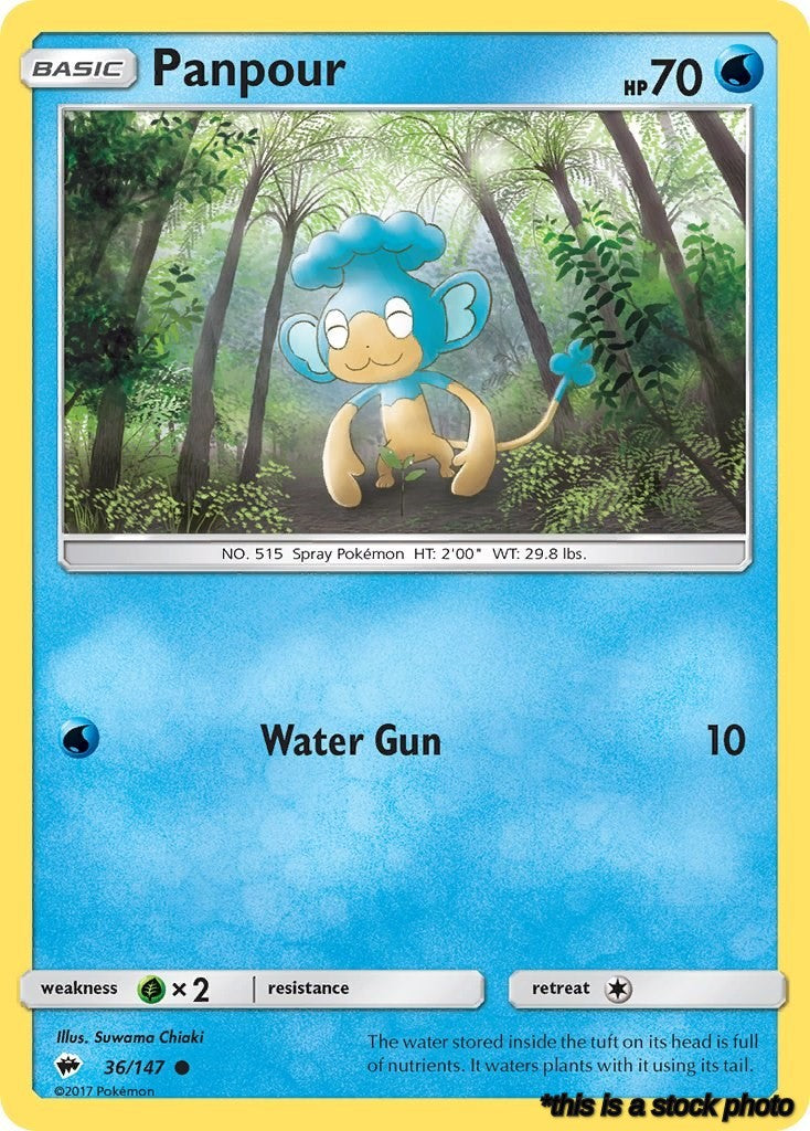 Common Panpour [36/147 Near Mint ]