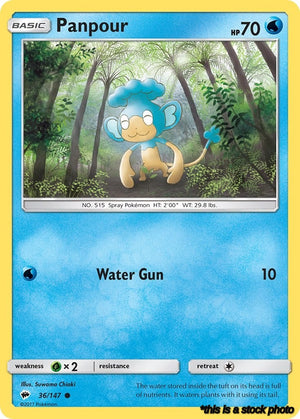 Common Panpour [36/147 Near Mint ]
