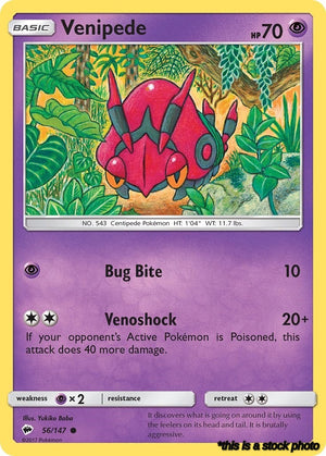 Common Venipede [56/147 Lightly Played ]