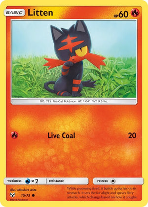Descriptive image text